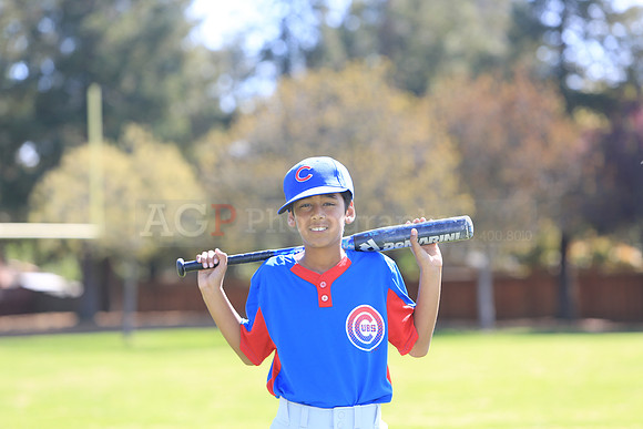 AAACubs017