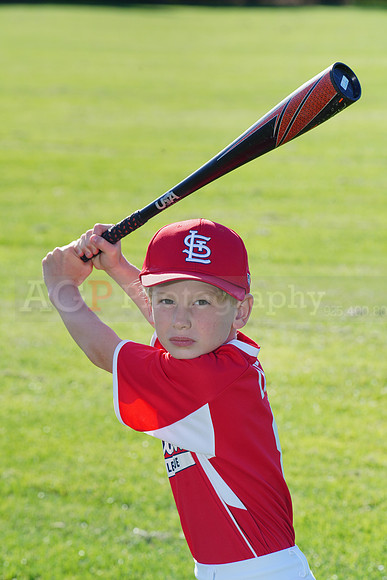 PLL_A_Cardinals00067