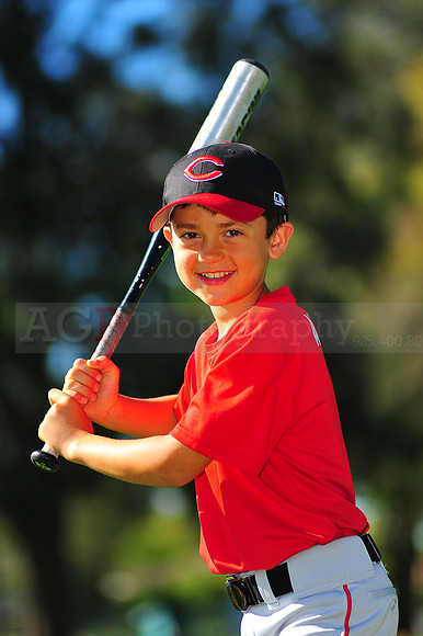 AAA_Reds050