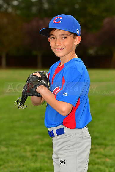 AAACubs040