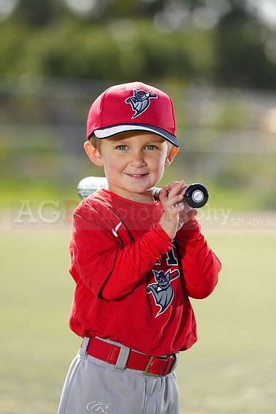 SB_TBALL_BATS129