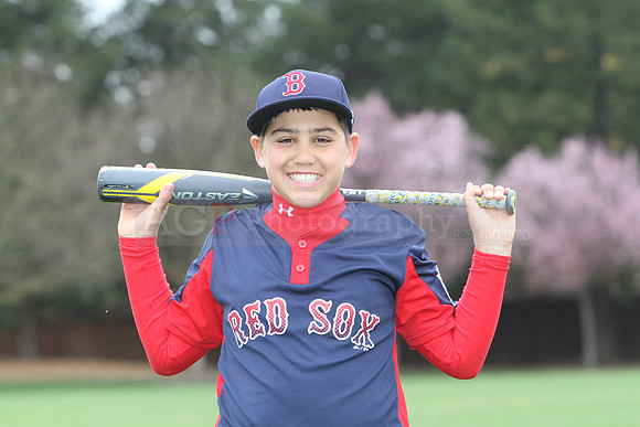 AAARedsox009