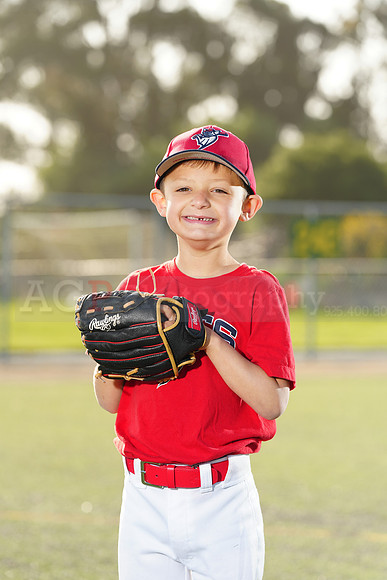 SB_TB_Bats048