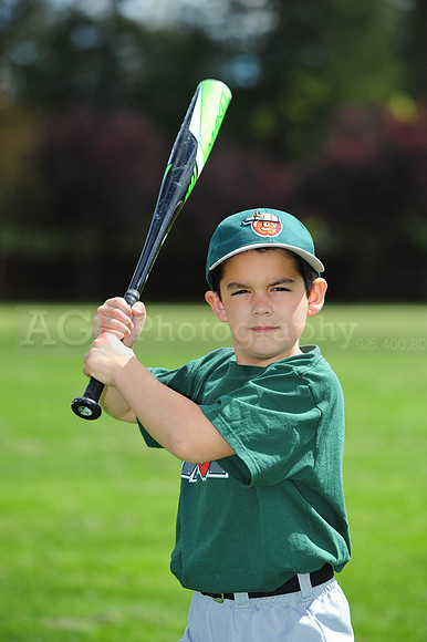 FmTinCaps037