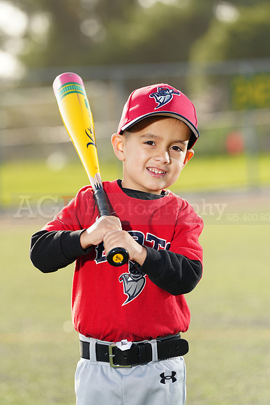 SB_TB_Bats035