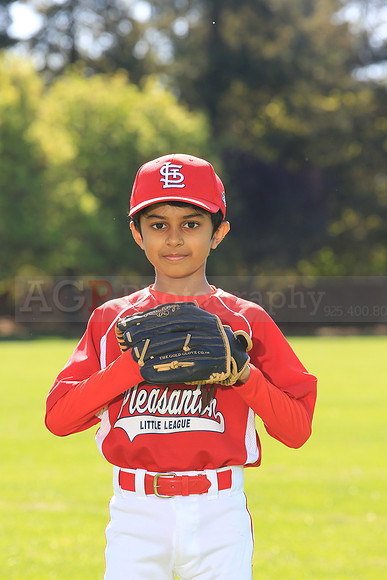 PLL_AAA_Cardinals00040