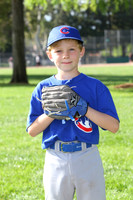 ACubs017
