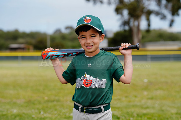 TBTinCaps00032