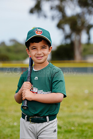 TBTinCaps00029