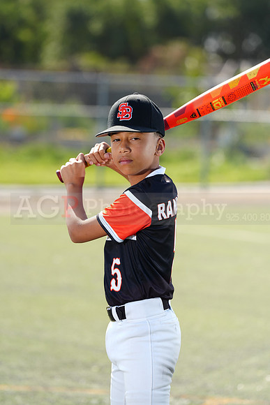 SB_BR_Giants042