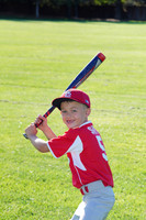 PLL_A_Cardinals00011