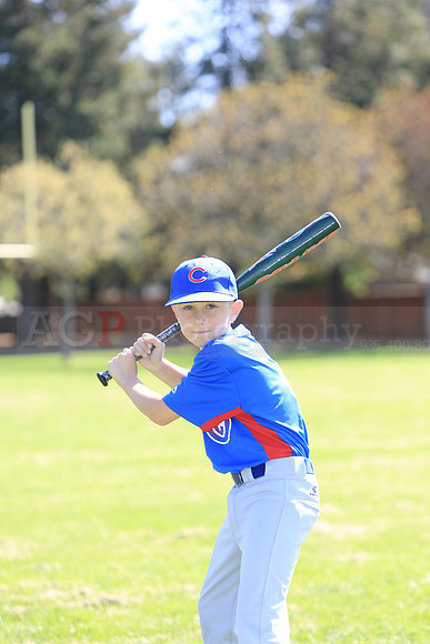 AAACubs068