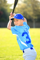 AAA Royals015