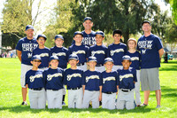 AAA BREWERS