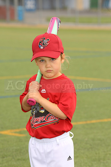 SB_TB_Ironpigs00073