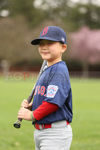 AARedsox077