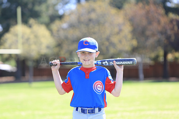 AAACubs058