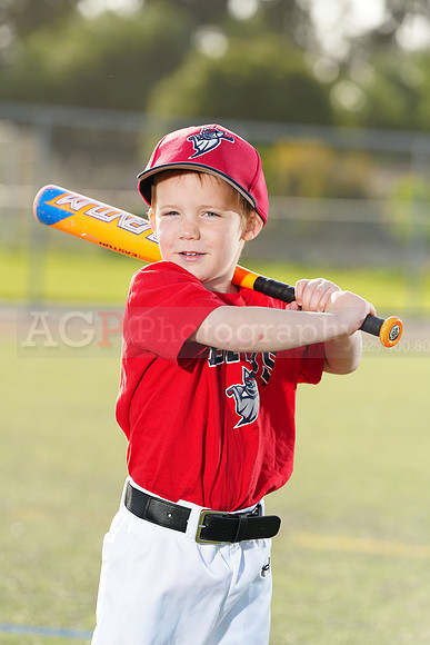 SB_TB_Bats077