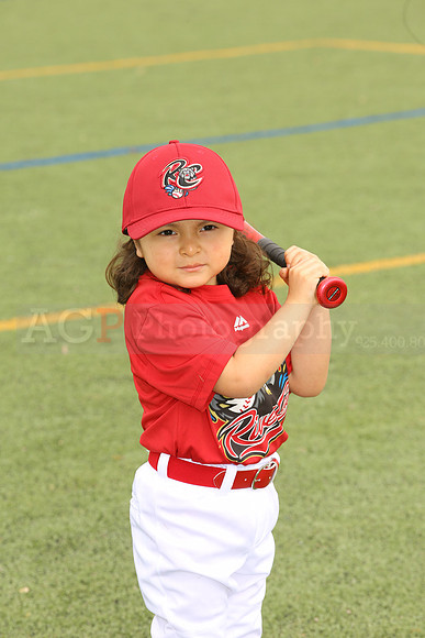 SB_TB_Ironpigs00044