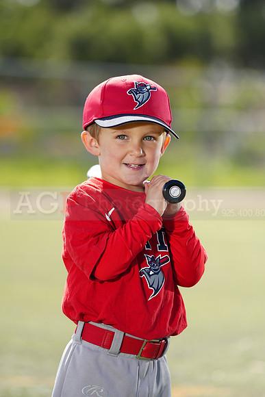 SB_TBALL_BATS132