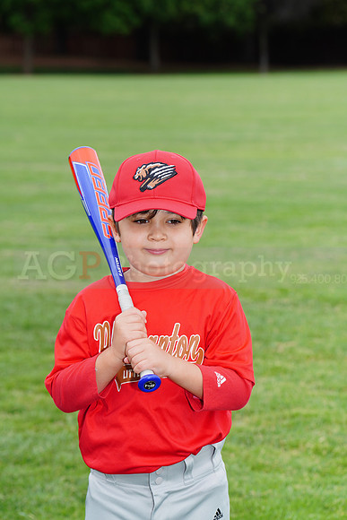 PLL_TBall_Grizzlies00077
