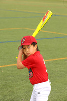 SB_TB_Ironpigs00003