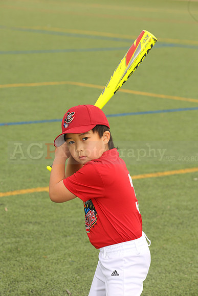 SB_TB_Ironpigs00003