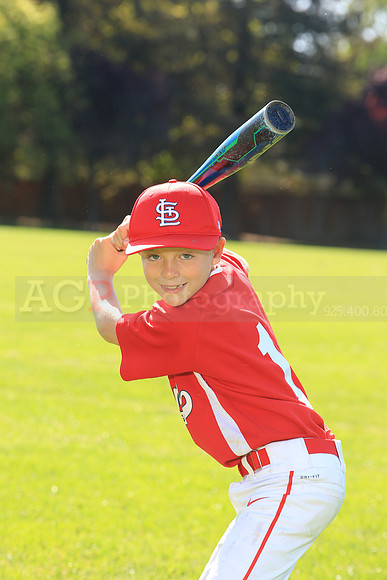PLL_AAA_Cardinals00033