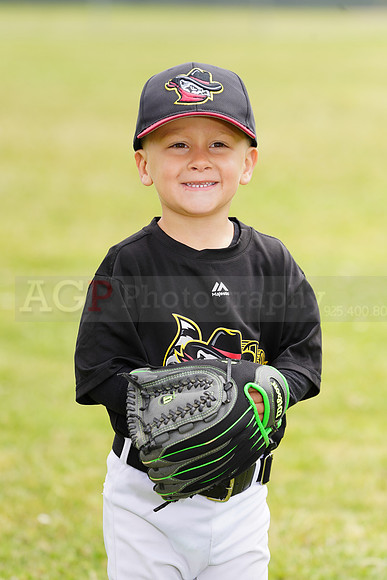 AGP09015