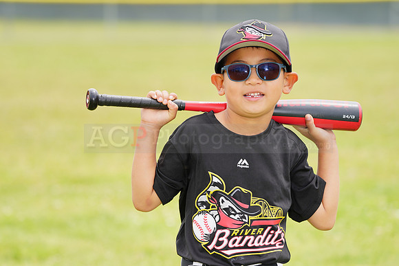 AGP09045