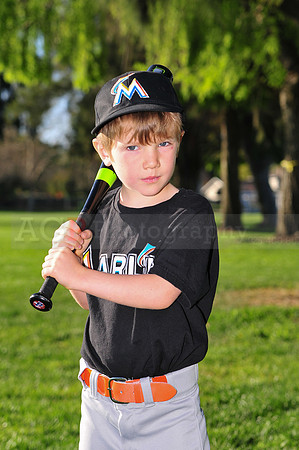 TBMarlins040