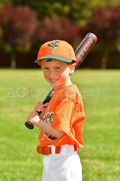 FMGrasshoppers028