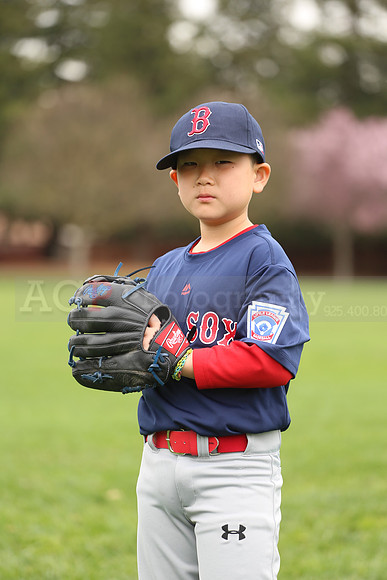 AARedsox075