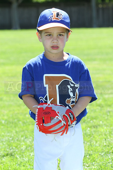 TBBulls046