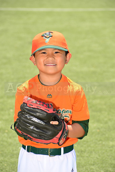 SB_TB_Grasshoppers00035