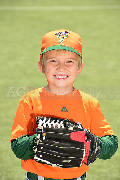 SB_TB_Grasshoppers00002