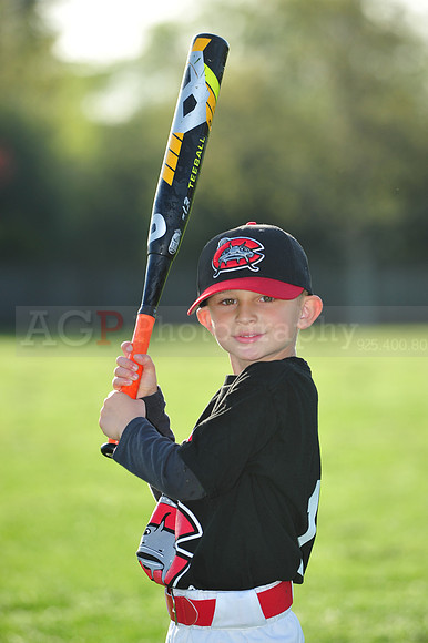 TBMudcats032