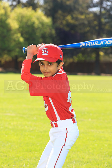 PLL_AAA_Cardinals00042
