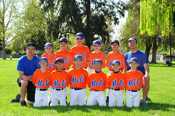 AA METS067