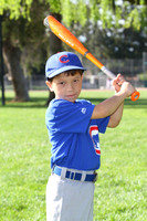 ACubs013