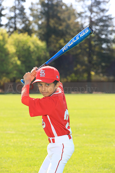 PLL_AAA_Cardinals00043