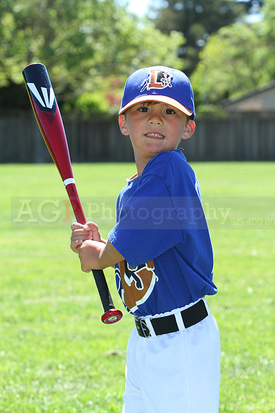 TBBulls081