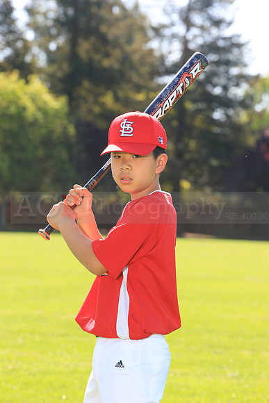 PLL_AAA_Cardinals00014