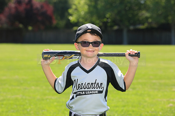 PLL_A_Whitesox00057