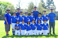 AAA BLUE JAYS