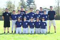 MAJOR YANKEES