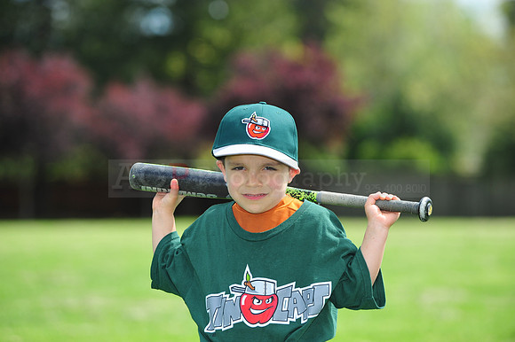 FmTinCaps024