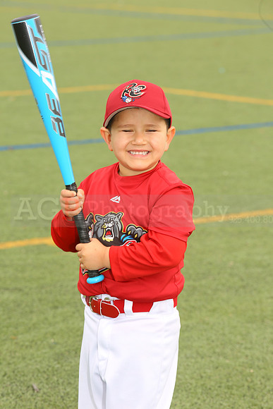 SB_TB_Ironpigs00027