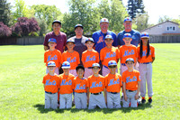 AA METS