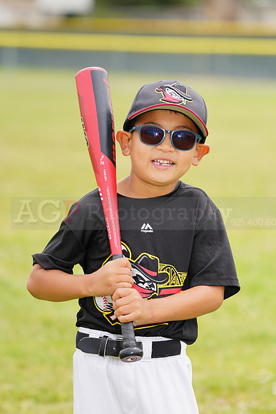 AGP09042